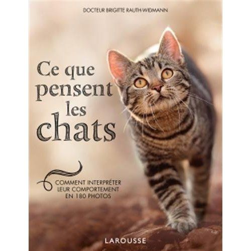 Emprunter Ce que pensent les chats. Comment interpréter leur comportement en 180 photos livre