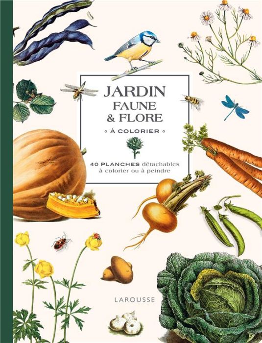 Emprunter Jardin faune & flore à colorier. 40 planches détachables à colorier ou à peindre livre