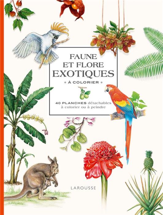 Emprunter Faune et flore exotiques à colorier. 40 planches détachables à colorier ou à peindre livre