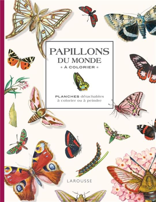 Emprunter Papillons du monde à colorier. Planches détachables à colorier ou à peindre livre