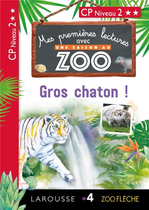 Emprunter Une saison au zoo.Gros chaton ! CP Niveau 2 livre