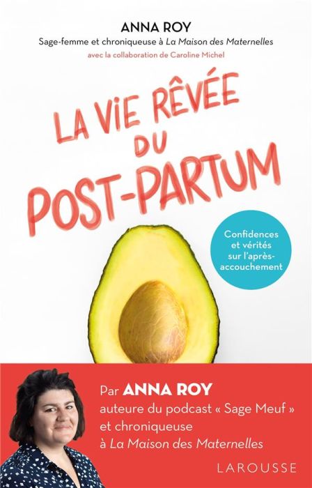 Emprunter La vie rêvée du post-partum. Confidences et vérités sur l'après-accouchement livre