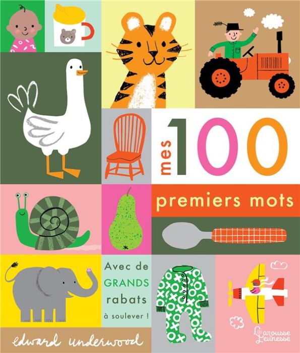 Emprunter Mes 100 premiers mots livre