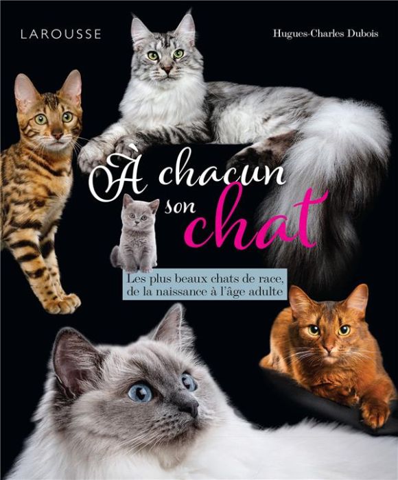 Emprunter A chacun son chat. Les plus beaux chats de race, de la naissance à l'âge adulte livre