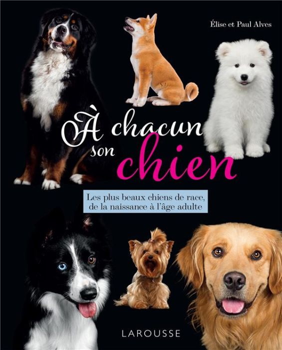 Emprunter A chacun son chien. Les plus beaux chiens de race, de la naissance à l'âge adulte livre