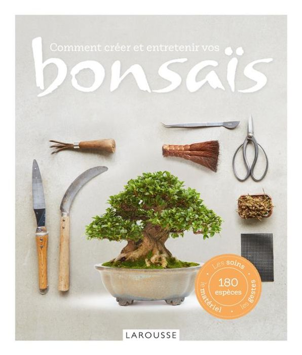 Emprunter Comment créer et entretenir vos bonsaïs livre