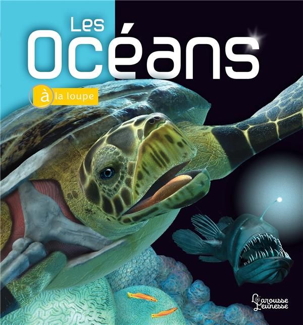 Emprunter Les océans livre