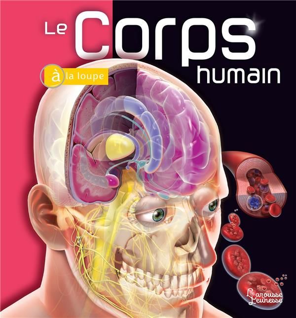 Emprunter Le corps humain livre