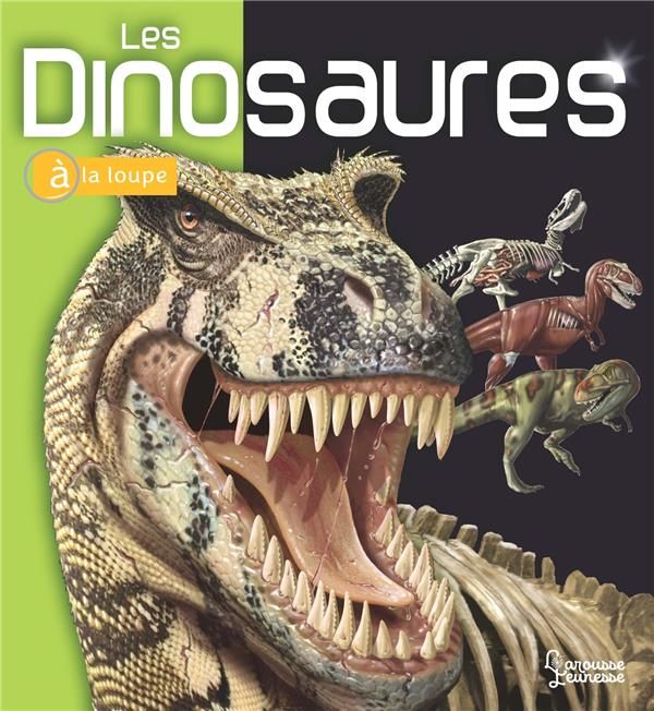 Emprunter Les Dinosaures livre