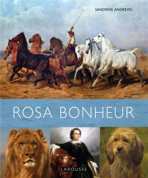 Emprunter Rosa Bonheur livre