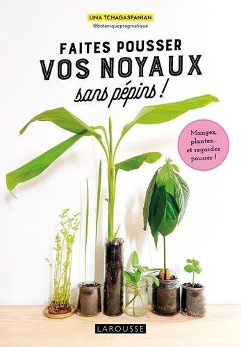 Emprunter Faites pousser vos noyaux sans pépins !. Mangez, plantez... et regardez pousser ! livre