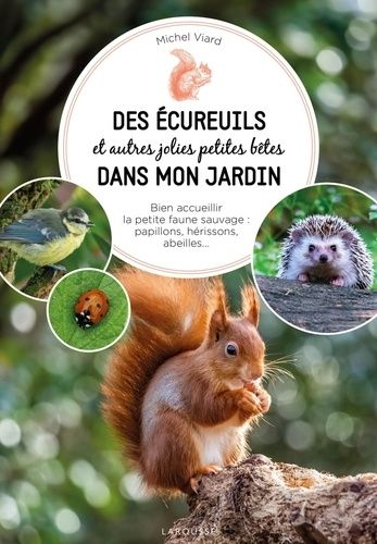 Emprunter Des écureuils et autres jolies petites bêtes dans mon jardin. Bien acceuillir la petite faune sauvag livre