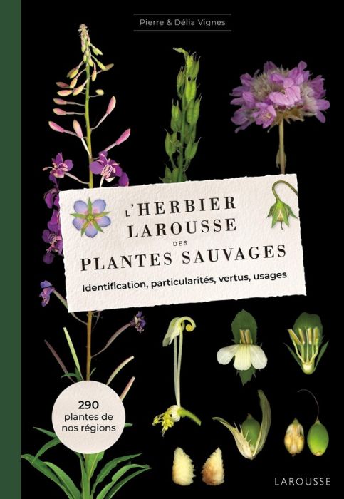 Emprunter L'herbier Larousse des plantes sauvages. Identification, particularités, vertus, usages livre