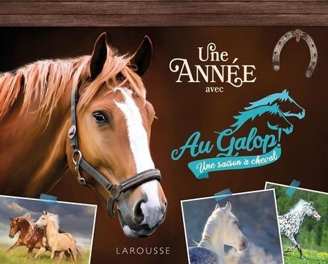 Emprunter Une année avec Au Galop livre