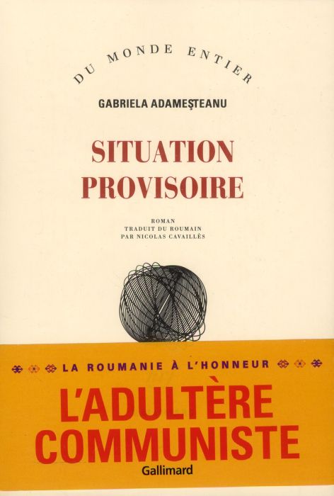 Emprunter Situation provisoire livre