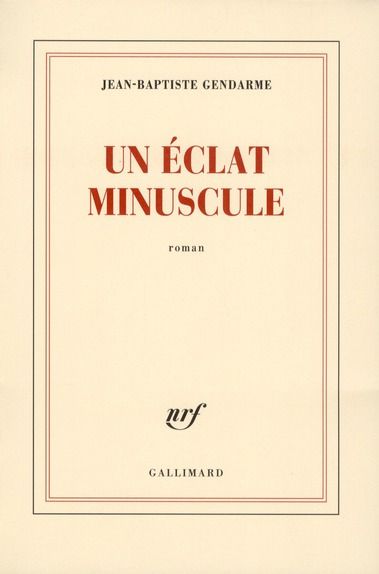 Emprunter Un éclat minuscule livre