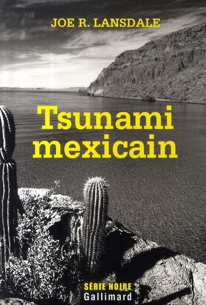 Emprunter Tsunami mexicain livre