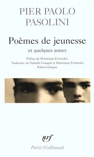 Emprunter Poèmes de jeunesse et quelques autres. Edition bilingue livre