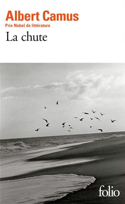 Emprunter La chute livre