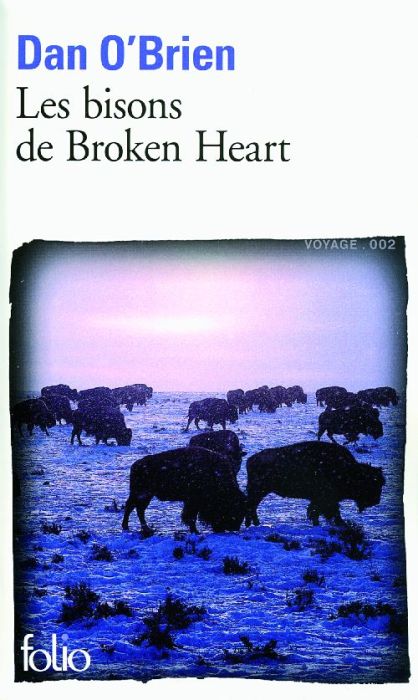 Emprunter Les bisons de Broken Heart livre