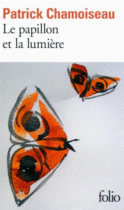 Emprunter Le papillon et la lumière livre