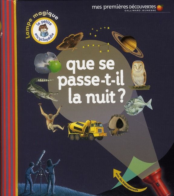 Emprunter Que se passe-t-il la nuit ? livre