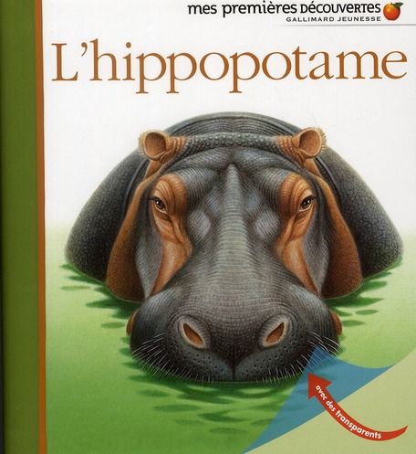 Emprunter L'hippopotame livre