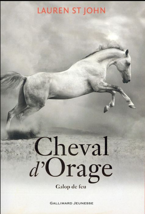 Emprunter Cheval d'Orage Tome 3 : Galop de feu livre