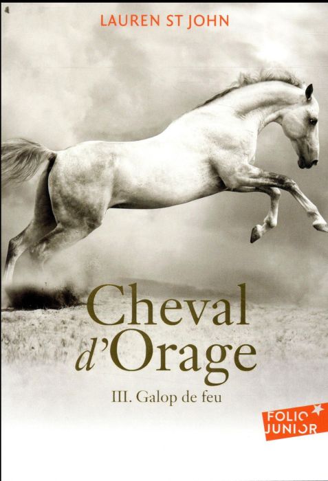 Emprunter Cheval d'Orage Tome 3 : Galop de feu livre