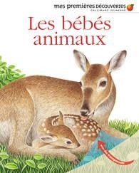 Emprunter Les bébés animaux livre