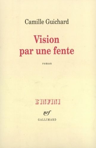 Emprunter Vision par une fente livre