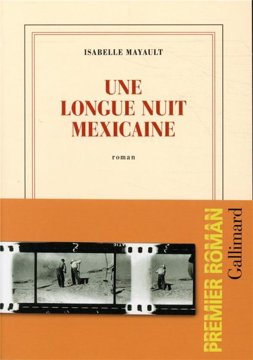 Emprunter Une longue nuit mexicaine livre