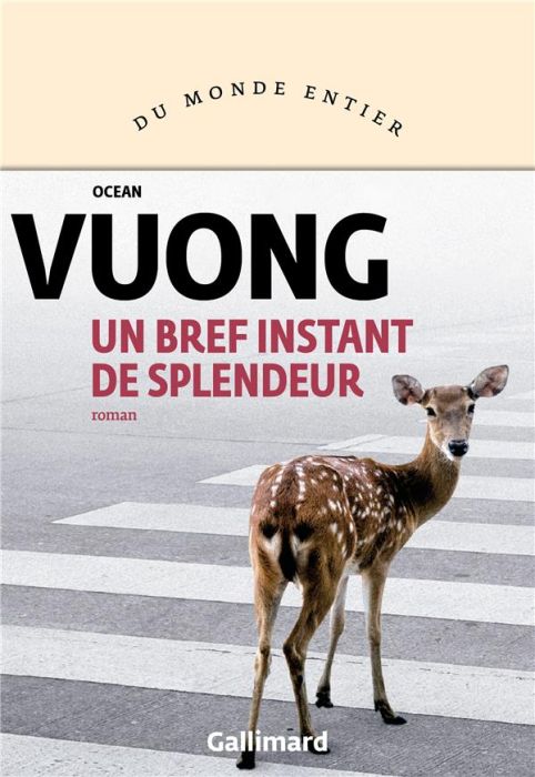 Emprunter Un bref instant de splendeur livre