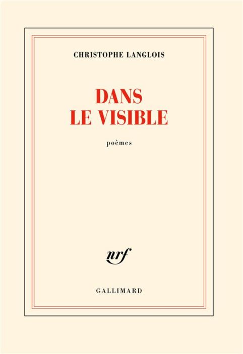 Emprunter Dans le visible livre