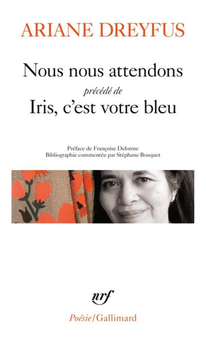 Emprunter Nous nous attendons. Précédé de Iris, c'est votre bleu livre