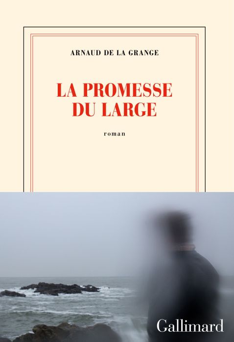 Emprunter La promesse du large livre