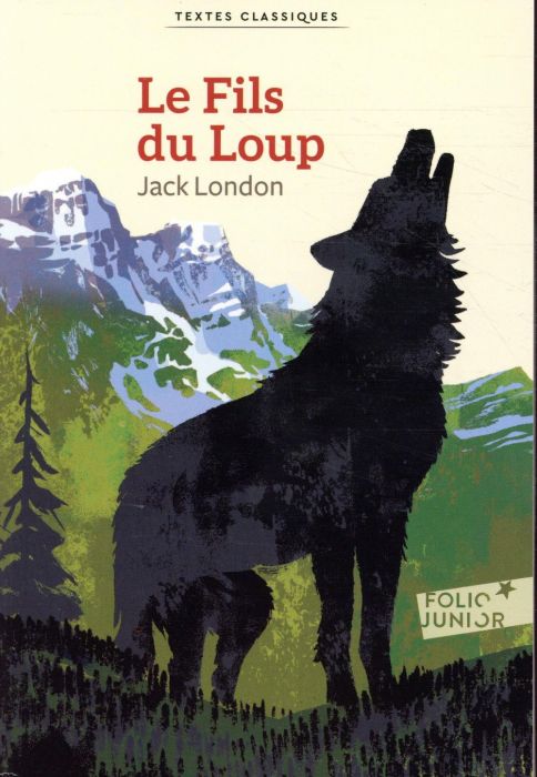 Emprunter Le fils du loup livre