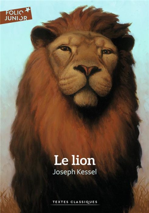 Emprunter Le lion livre