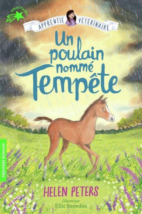 Emprunter Apprentie vétérinaire Tome 9 : Un poulain nommé Tempête livre