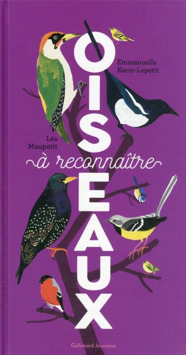 Emprunter Oiseaux à reconnaître livre