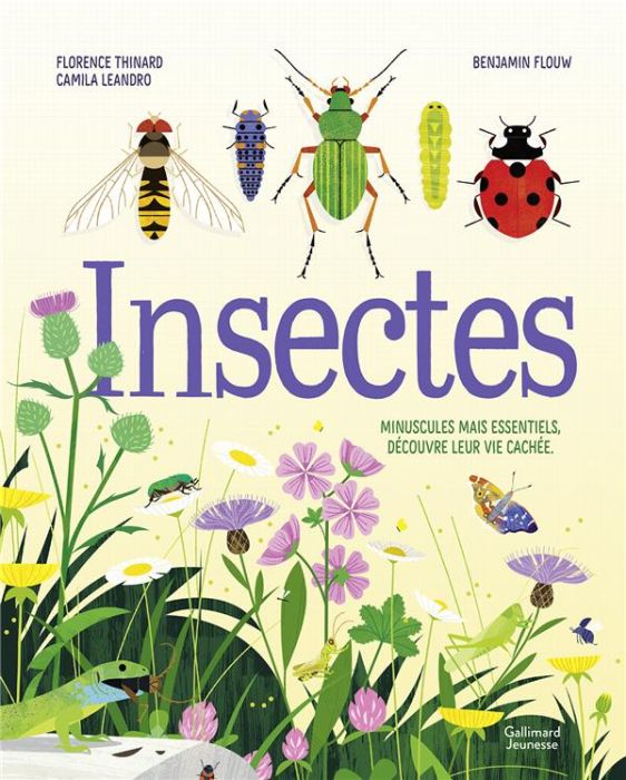 Emprunter Insectes. Minuscules mais essentiels, découvre leur vie cachée livre