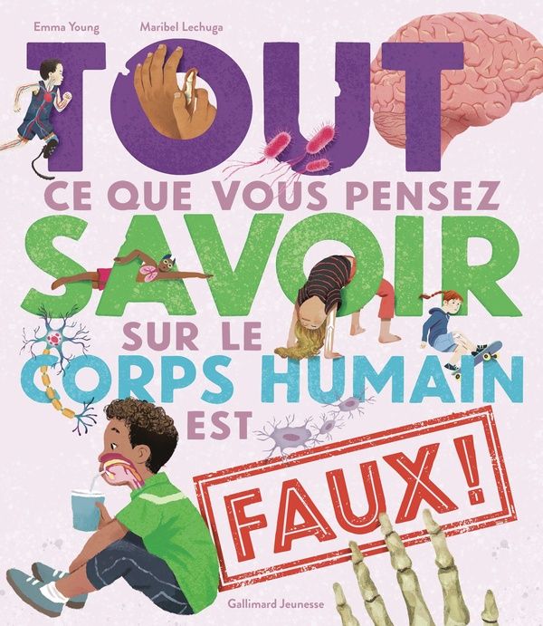 Emprunter Tout ce que vous pensez savoir sur le corps humain est faux ! livre