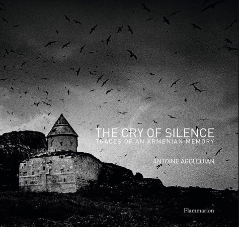 Emprunter The cry of silence livre