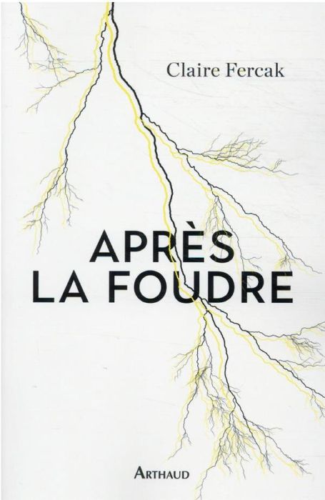 Emprunter Après la foudre livre