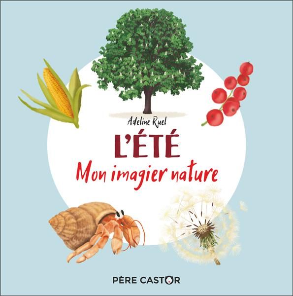 Emprunter L'été livre