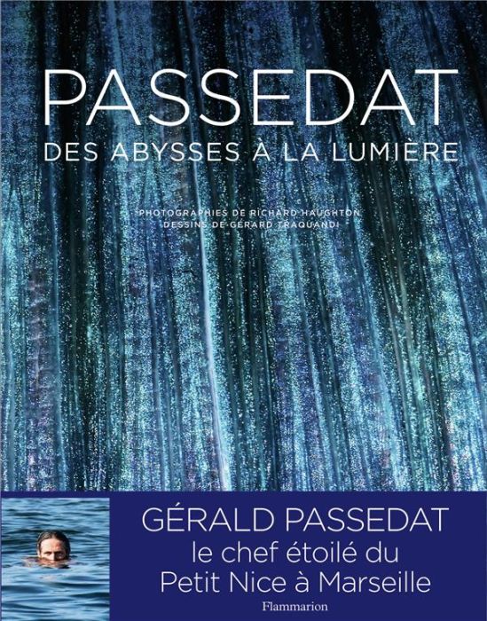 Emprunter Passedat. Des abysses à la lumière livre