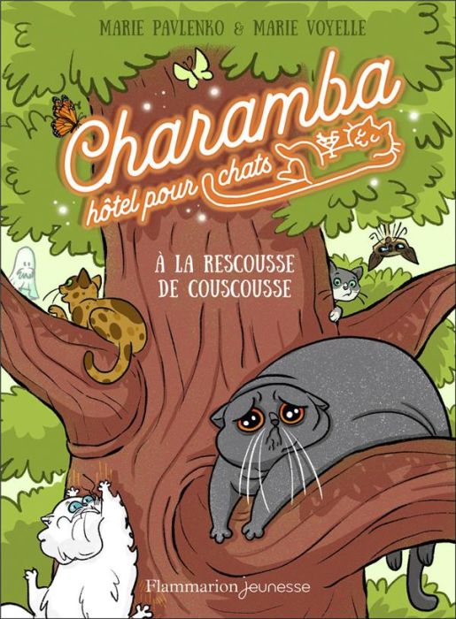 Emprunter Charamba, hôtel pour chats Tome 3 : A la rescousse de Couscousse livre