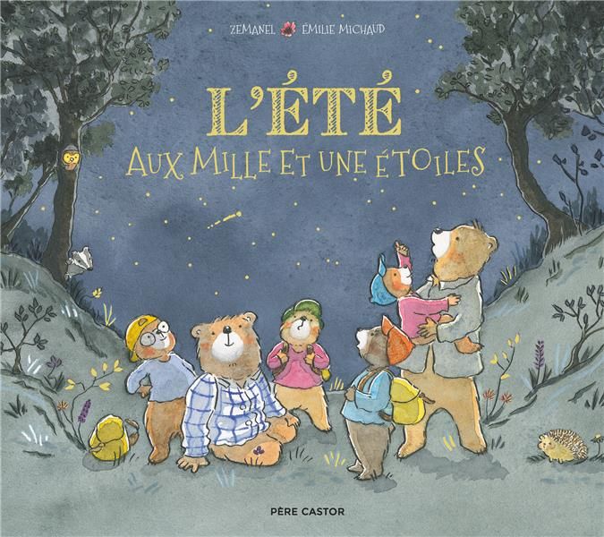 Emprunter L'été aux mille et une étoiles livre