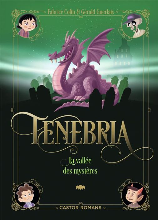 Emprunter Tenebria : La vallée des mystères livre