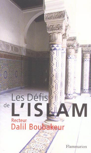 Emprunter Les défis de l'Islam livre